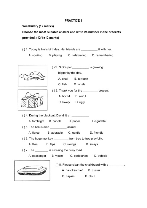 新加坡小学二年级英语试卷PRACTICE 1