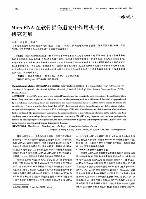 MicroRNA在软骨损伤退变中作用机制的研究进展