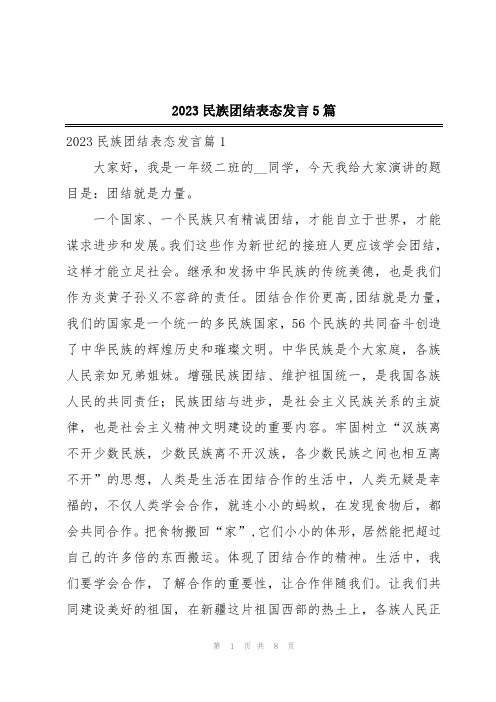 2023民族团结表态发言5篇