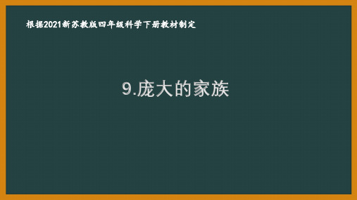 2021南京新苏教版四年级科学下册第三单元《昆虫》全部课件(共3节5课时)