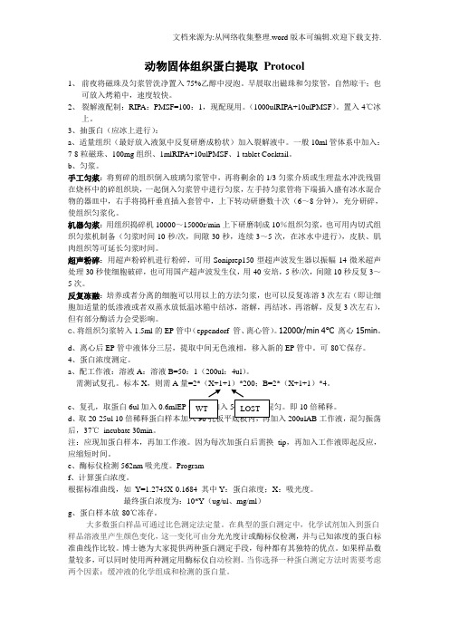 动物固体组织蛋白提取_Protocol