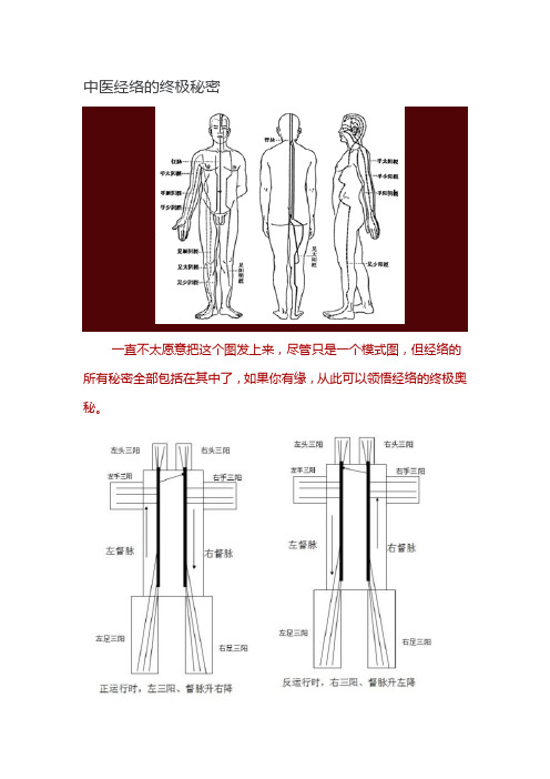 中医经络的终极秘密