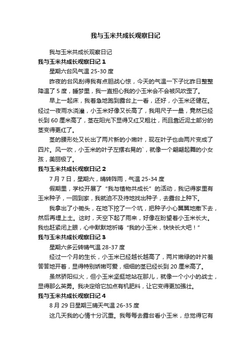 我与玉米共成长观察日记