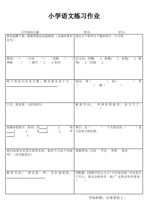 小学五年级语文自我提高 (100)