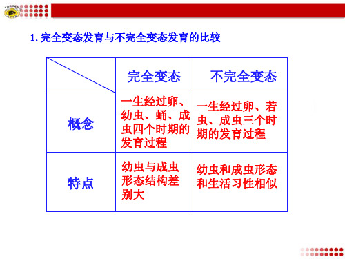 完全变态发育与不完全变态发育的比较