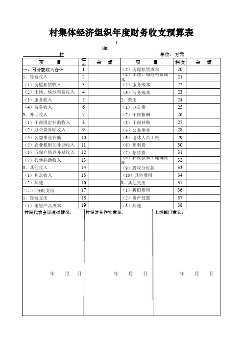 村集体经济组织年度财务收支预算表