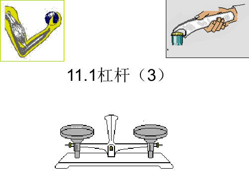 11.1杠杆(3)