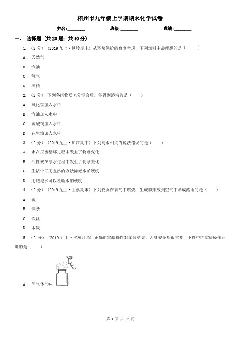 梧州市九年级上学期期末化学试卷