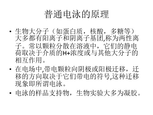 普通电泳分三种：水平电泳垂直电泳转移电泳