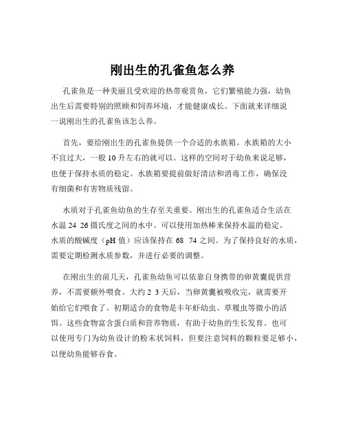 刚出生的孔雀鱼怎么养