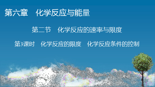 (新教材)2020-2021学年高中化学人教版必修第二册第6章 第2节 第3课时 化学反应的限度