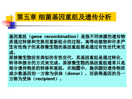 第五章细菌基因重组及遗传分析