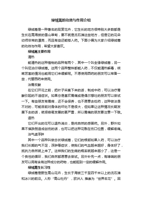 绿绒蒿的功效与作用介绍