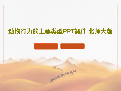 动物行为的主要类型PPT课件 北师大版PPT文档共38页