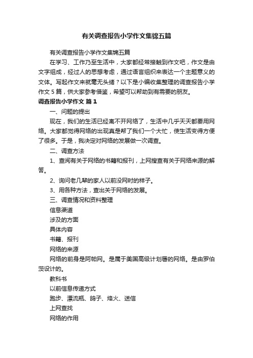 有关调查报告小学作文集锦五篇