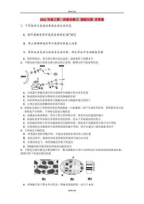 2021年高三第一次综合练习 理综生物 含答案