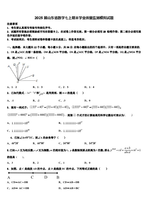 2025届山东省数学七上期末学业质量监测模拟试题含解析