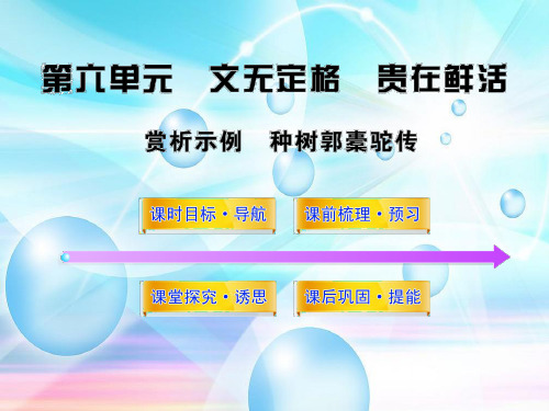 第六单元《种树郭橐驼传》赏析示例(新人教版·中国古代诗歌散文欣赏)(38张ppt)