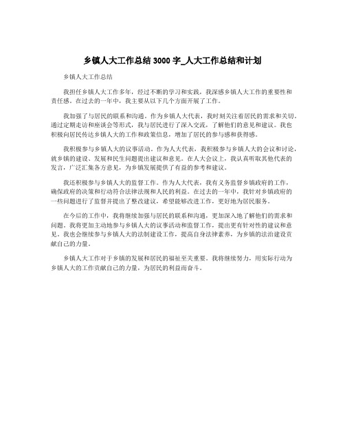 乡镇人大工作总结3000字_人大工作总结和计划