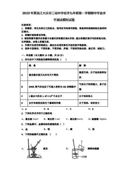 2023年黑龙江大庆市三站中学化学九年级第一学期期中学业水平测试模拟试题含解析