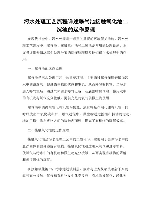 污水处理工艺流程详述曝气池接触氧化池二沉池的运作原理