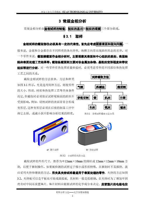 2019-分享教案-常规金相分析