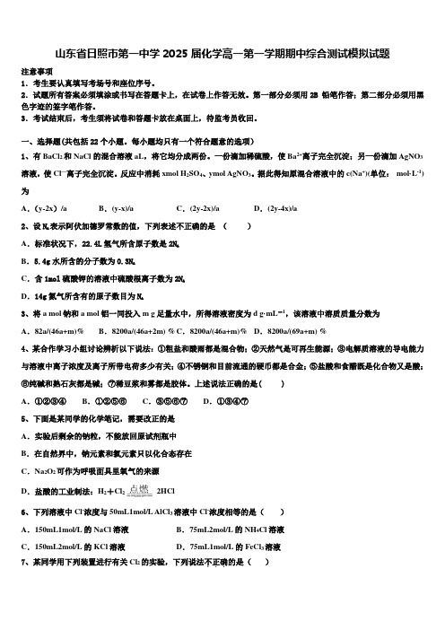 山东省日照市第一中学2025届化学高一第一学期期中综合测试模拟试题含解析