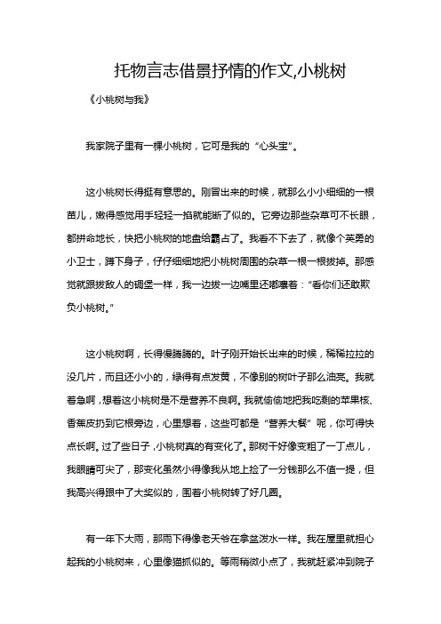 托物言志借景抒情的作文,小桃树