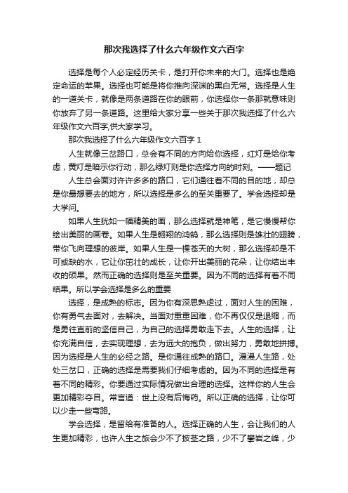 那次我选择了什么六年级作文六百字