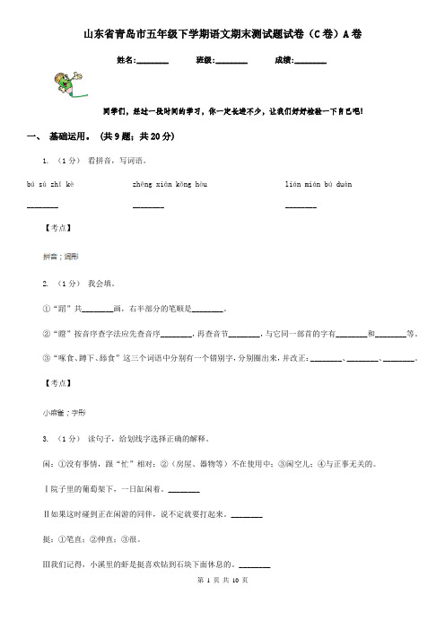 山东省青岛市五年级下学期语文期末测试题试卷(C卷)A卷