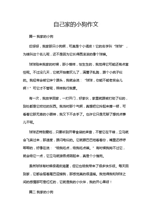 自己家的小狗作文