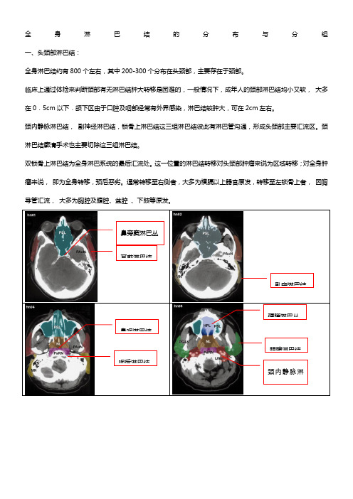 淋巴结(头颈胸分区整理)图示