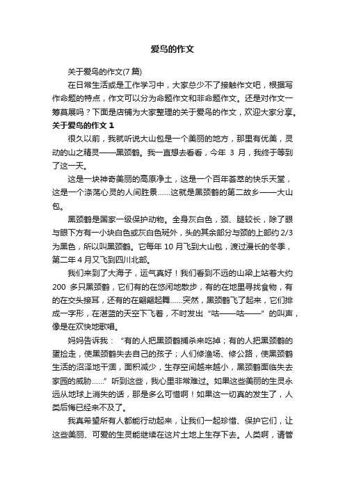 爱鸟的作文