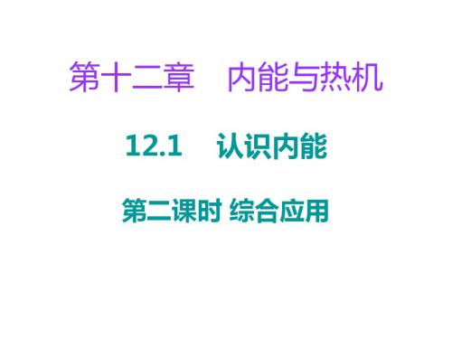 粤教沪版物理九年级上册习题课件：：12.1《认识内能》