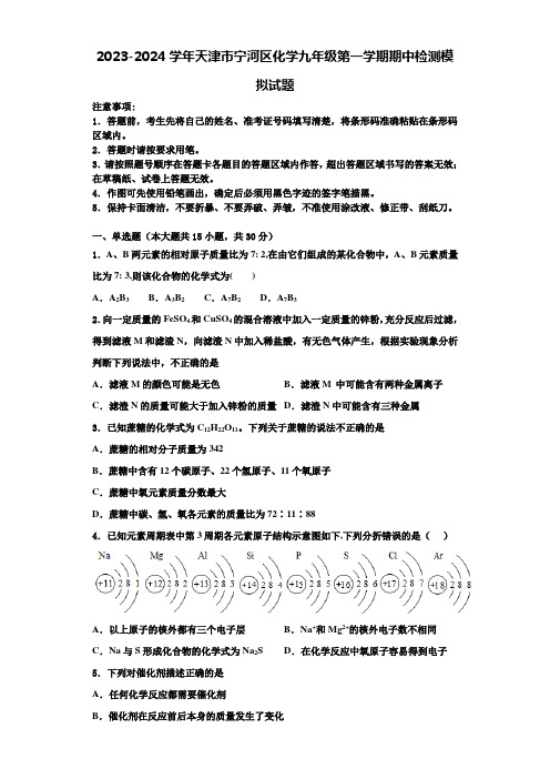 2023-2024学年天津市宁河区化学九年级第一学期期中检测模拟试题含解析