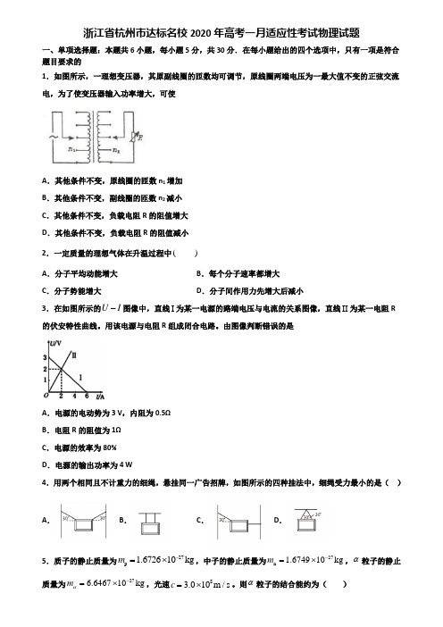 浙江省杭州市达标名校2020年高考一月适应性考试物理试题含解析