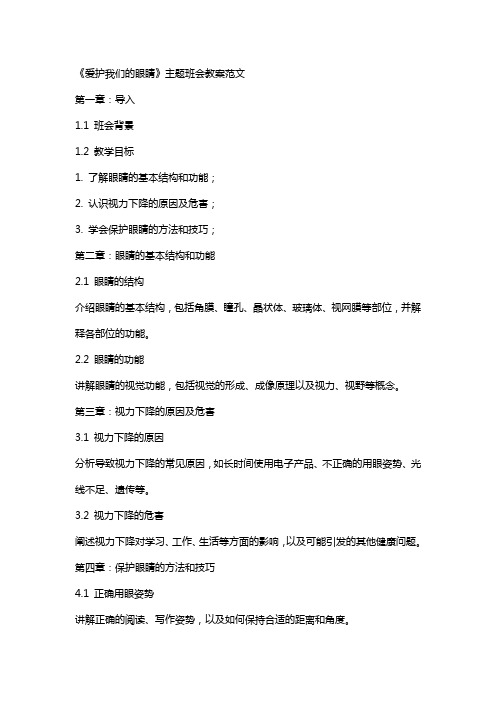 《爱护我们的眼睛》主题班会教案范文