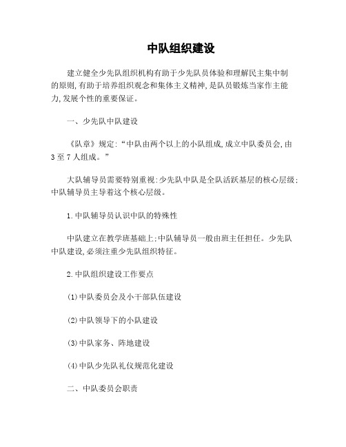 中队组织建设