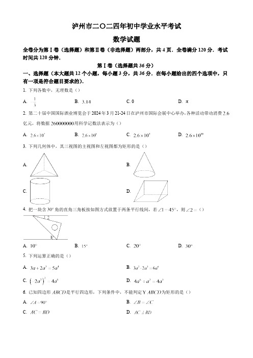 2024年四川省泸州市中考数学真题试卷及答案解析