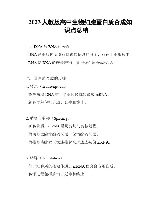 2023人教版高中生物细胞蛋白质合成知识点总结