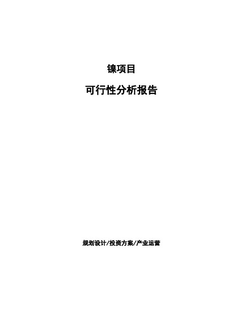 镍项目可行性分析报告