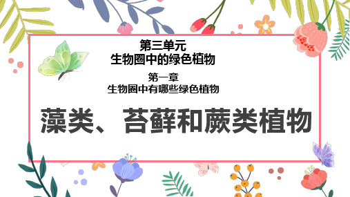 第一节藻类、苔藓和蕨类植物课件 人教版生物七年级上册