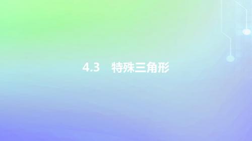 2019年中考数学一轮复习第二讲空间与图形第四章4.3特殊课件1