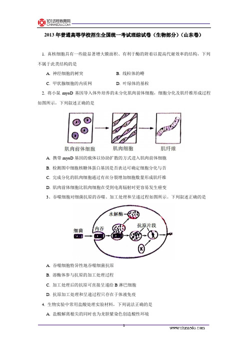 2013年普通高等学校招生全国统一考试理综试卷(生物部分)(山东卷)