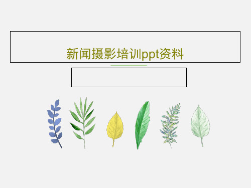 新闻摄影培训ppt资料共38页文档