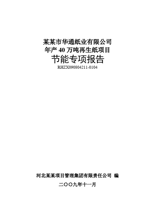 造纸项目立项节能专项评估报告