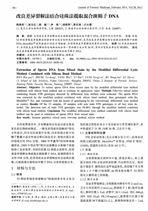 改良差异裂解法结合硅珠法提取混合斑精子DNA