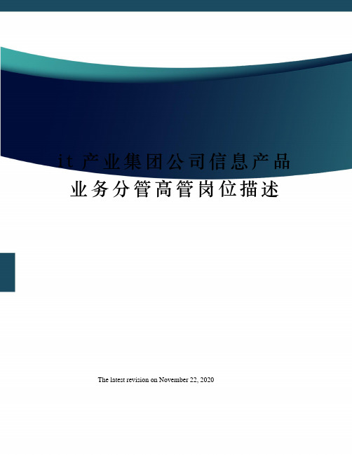 it产业集团公司信息产品业务分管高管岗位描述