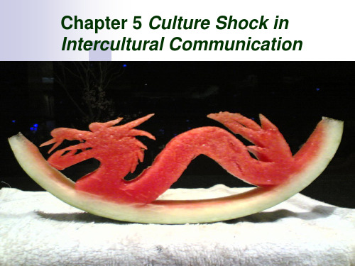 跨文化商务交际chapter_5_culture_shock