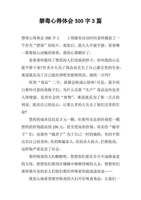 禁毒心得体会300字3篇